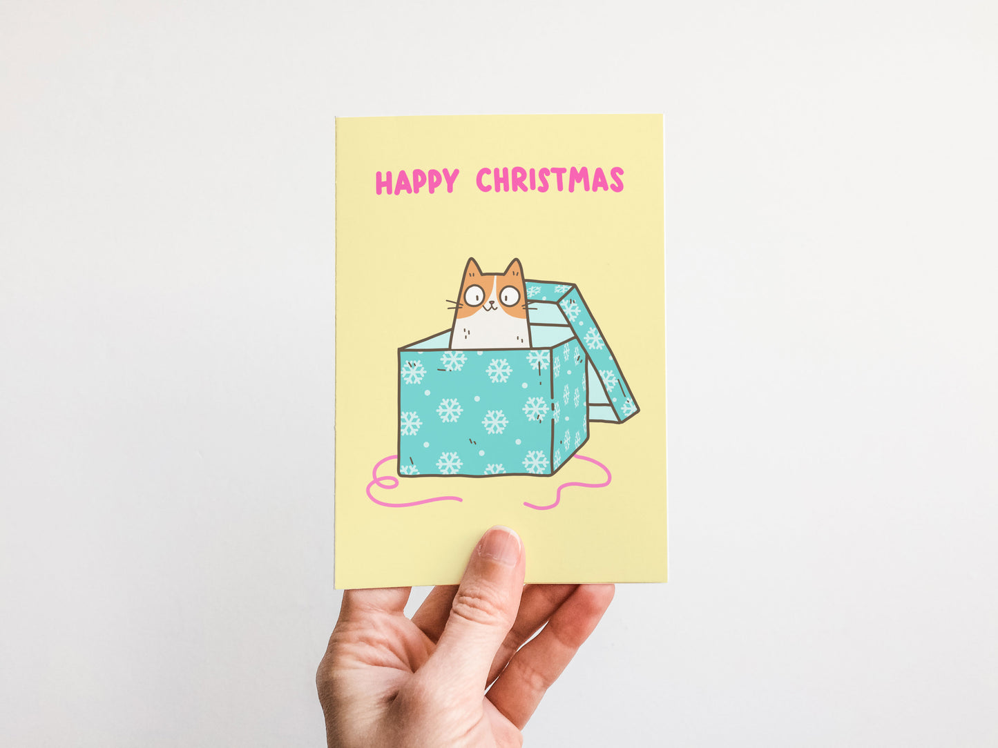 Christmas Cat In Box Card