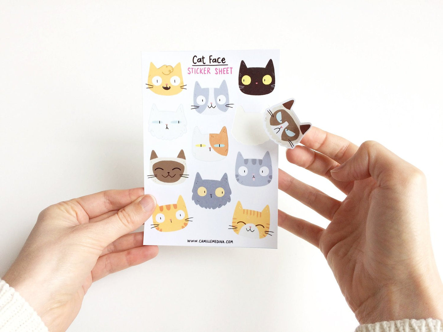 Cat Face Sticker Sheet