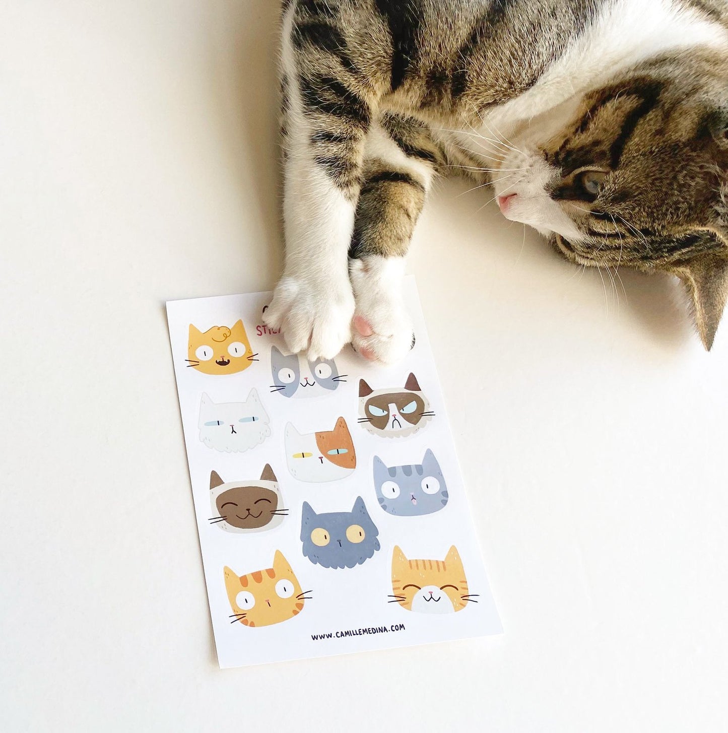 Cat Face Sticker Sheet