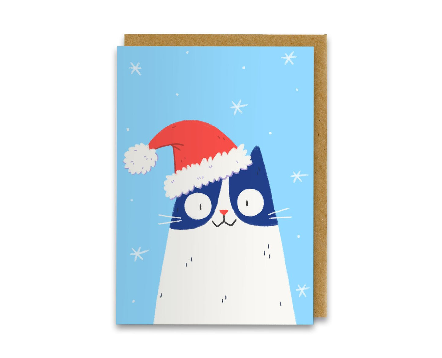 Pack of 10 Cat Christmas Cards