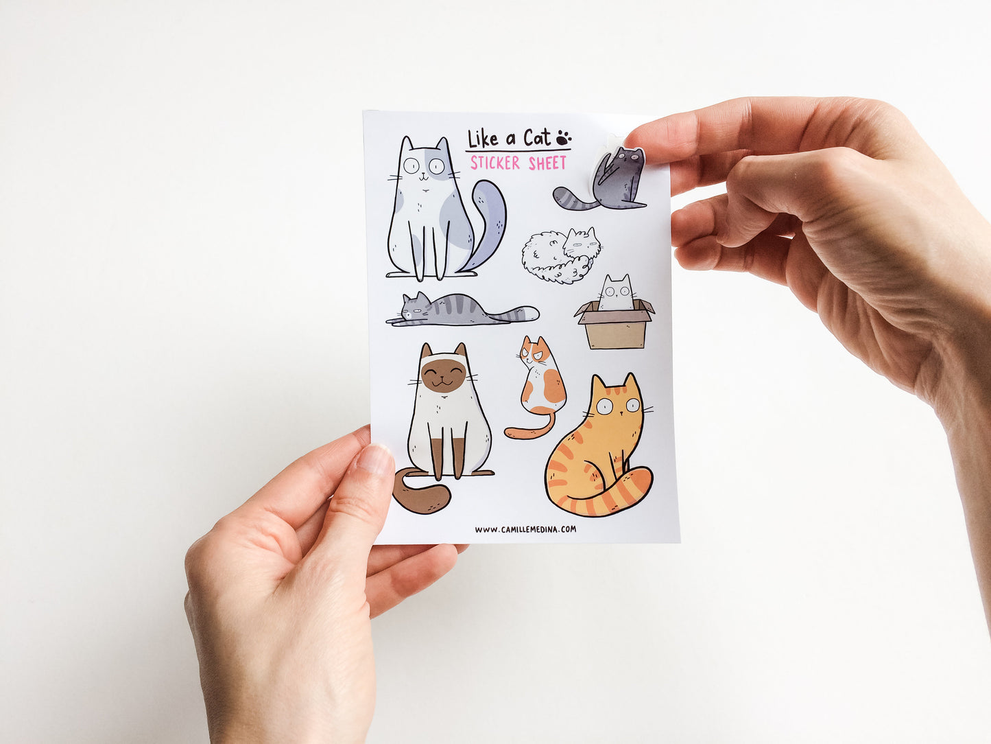 Like A Cat Sticker Sheet